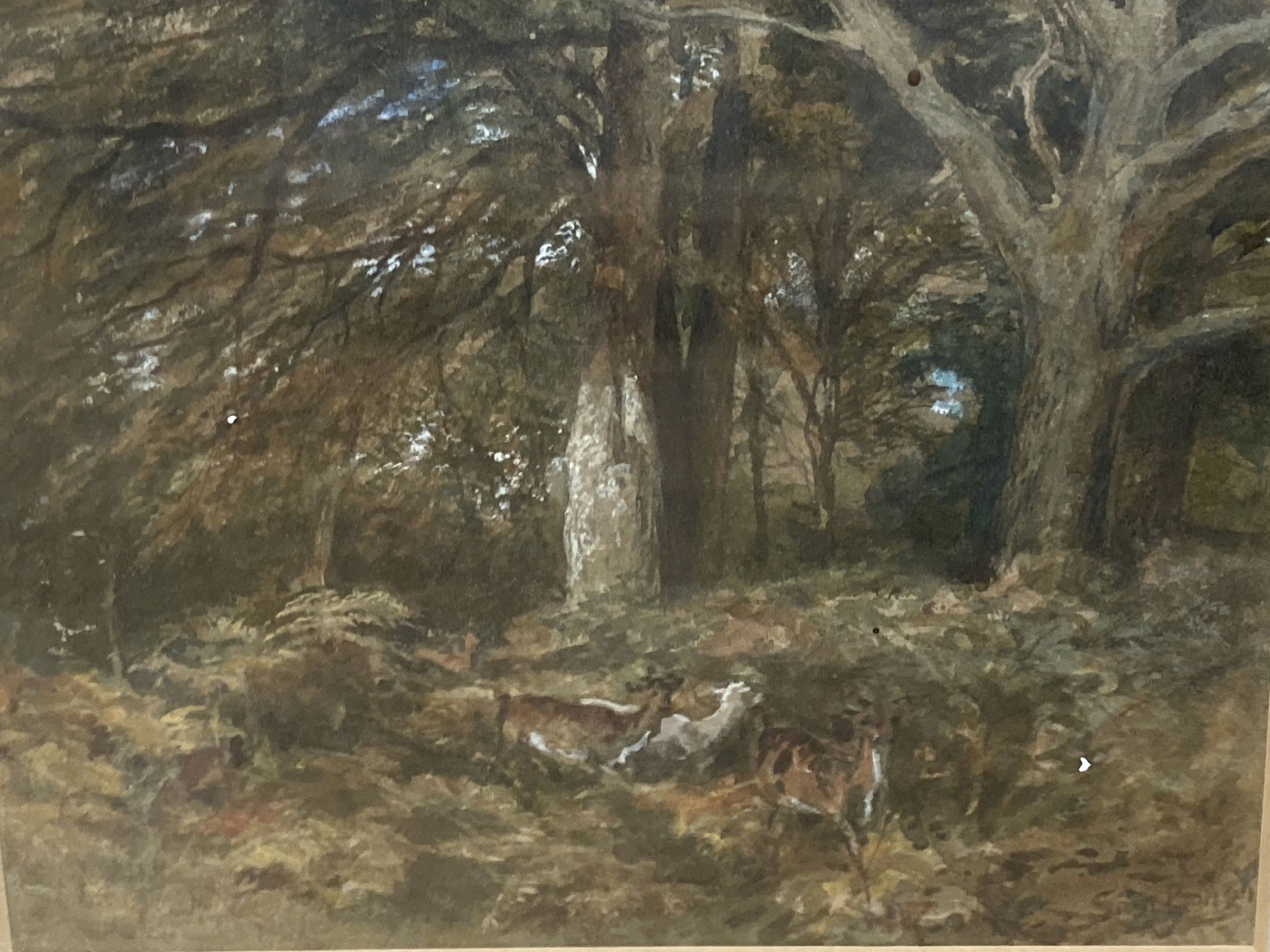 Samuel Bough (1822-1878), watercolour, Woodland scene with deer, signed, 18 x 24cm and a sketch attributed to Hervey Adams, 12 x 17cm